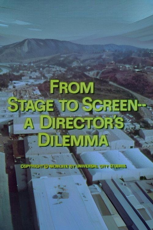 From Stage to Screen---A Director's Dilemma 1969 official movie poster