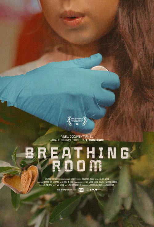 Breathing Room 2026 official movie poster