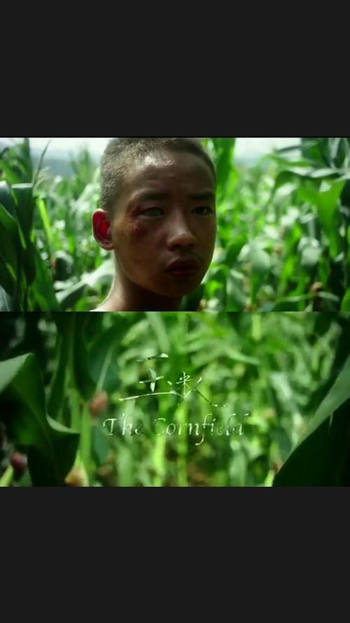 The Cornfield 2015 official movie poster