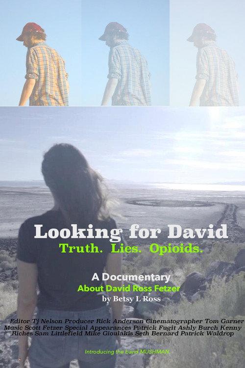 Looking for David  official movie poster
