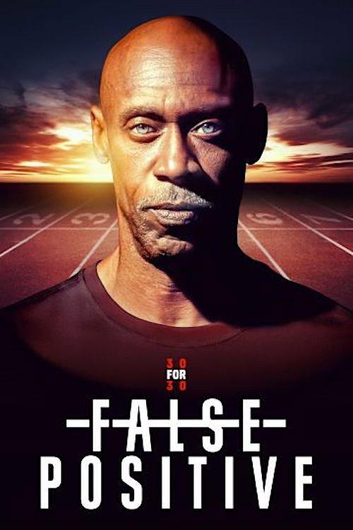 False Positive 2024 official movie poster