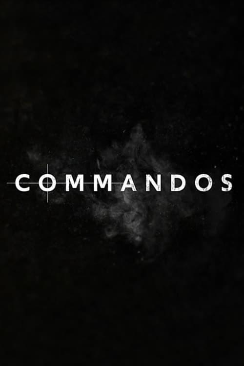 Commando's 2020 official movie poster