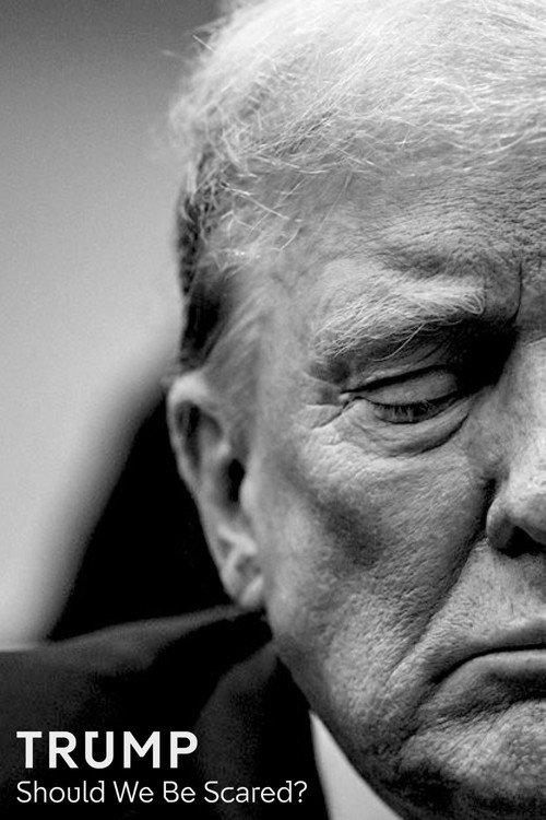 Trump: Should We Be Scared? 2024 official movie poster