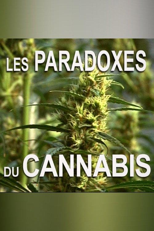 Les paradoxes du cannabis 2009 official movie poster