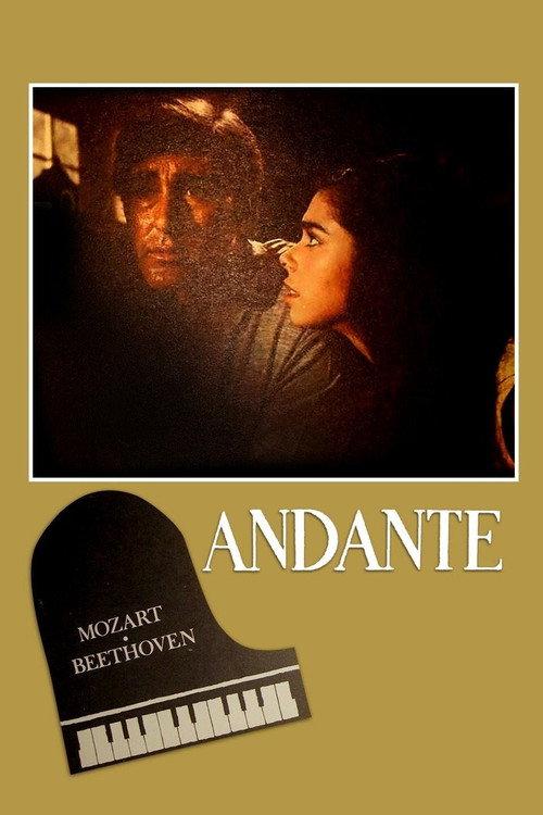 Andante 1969 official movie poster