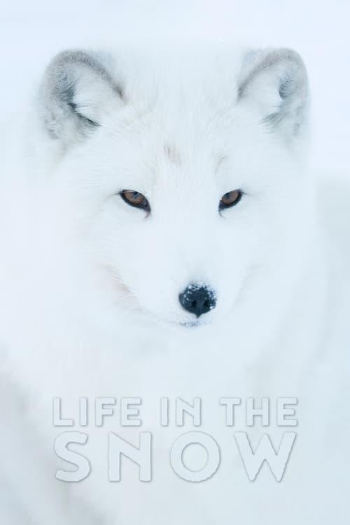 Life In The Snow 2016 official movie poster