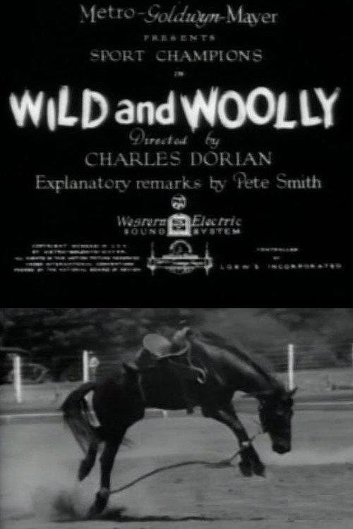 Wild and Woolly 1931 official movie poster