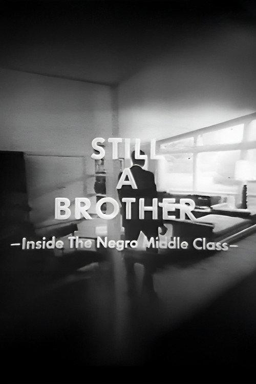 Still A Brother: Inside the Negro Middle Class 1968 official movie poster