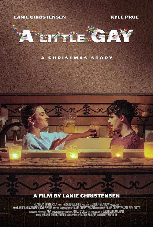 A Little Gay 2023 official movie poster