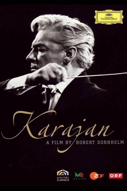 Karajan: Beauty As I See It 2008 official movie poster