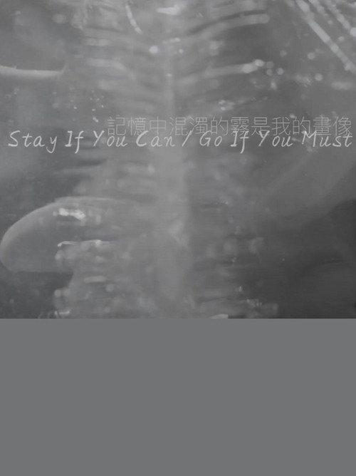 Stay If You Can / Go If You Must 2020 official movie poster