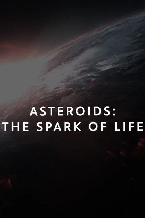Asteroids: The Spark of Life? 2026 official movie poster