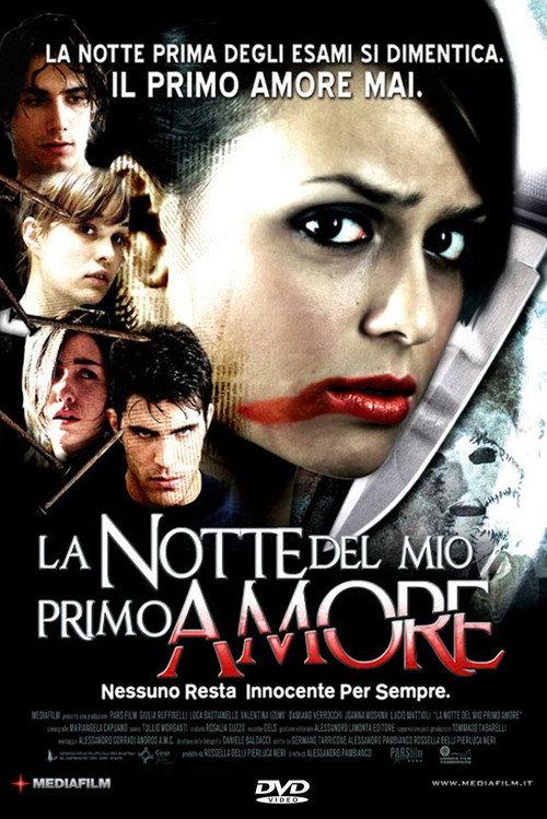La notte del mio primo amore 2006 official movie poster