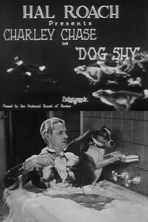 Dog Shy 1926 official movie poster