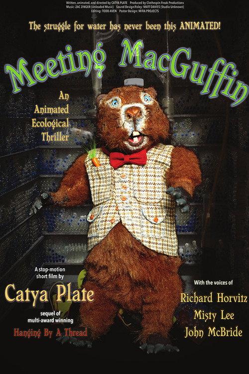 Meeting MacGuffin 2017 official movie poster