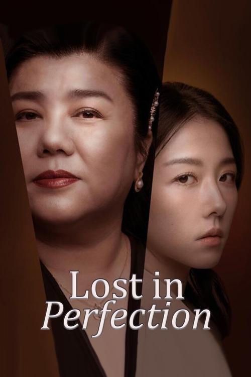Lost in Perfection 2023 official movie poster