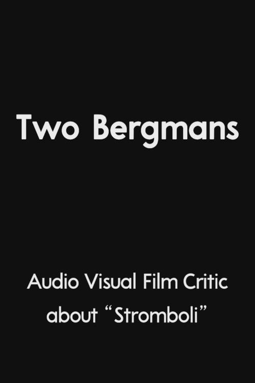 Two Bergmans 2025 official movie poster