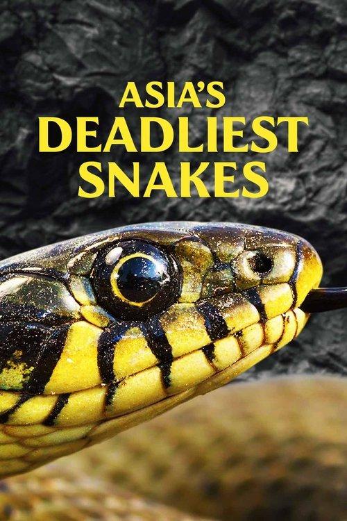 Asia's Deadliest Snakes 2010 official movie poster