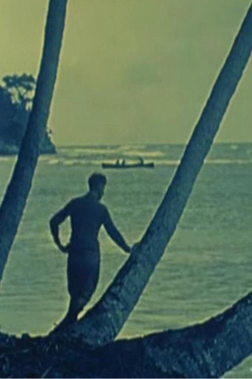 Tropical Nights 1920 official movie poster