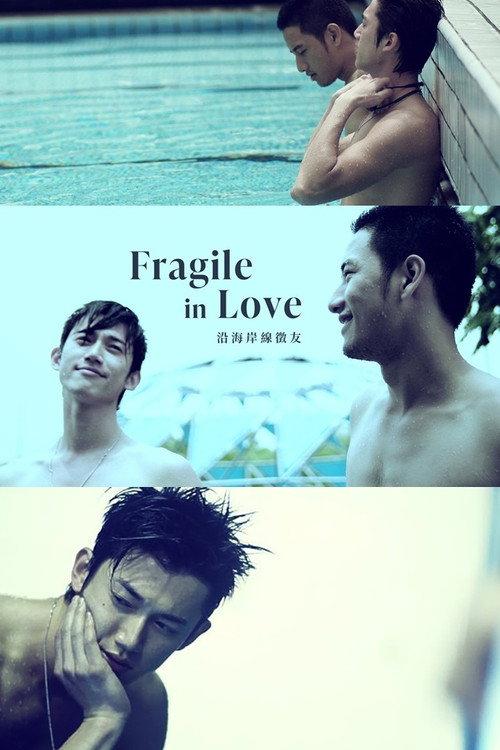 Fragile in Love 2007 official movie poster