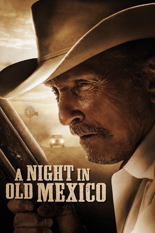 A Night in Old Mexico 2013 official movie poster