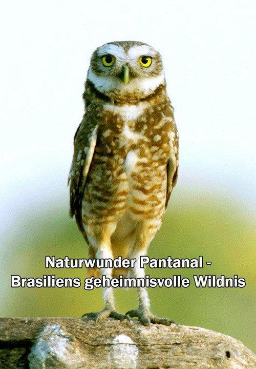 Naturwunder Pantanal - Brasiliens geheimnisvolle Wildnis 2021 official movie poster