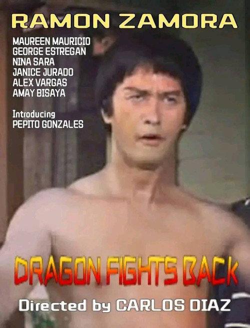 Dragon Fights Back 1987 official movie poster