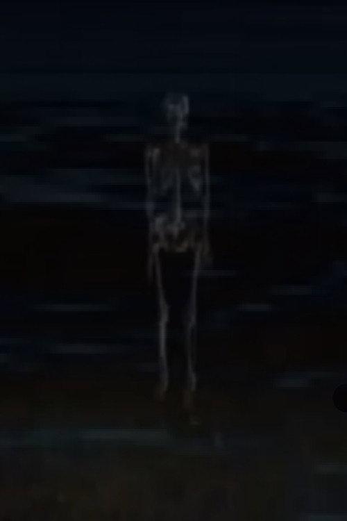 Ancient Skeleton Joke 2023 official movie poster