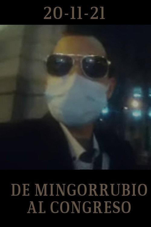 De Mingorrubio al Congreso 2021 official movie poster