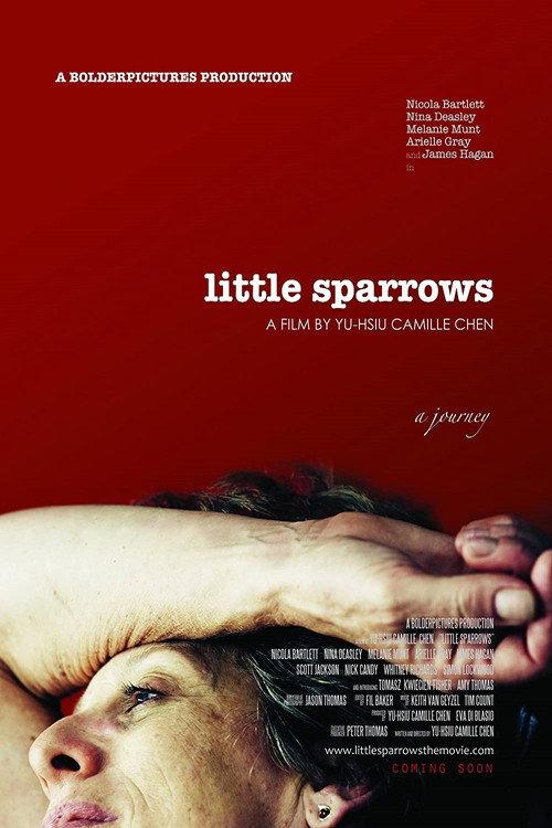 Little Sparrows 2010 official movie poster