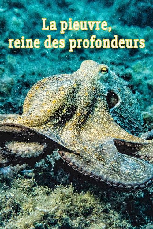 La pieuvre, reine des profondeurs 2004 official movie poster