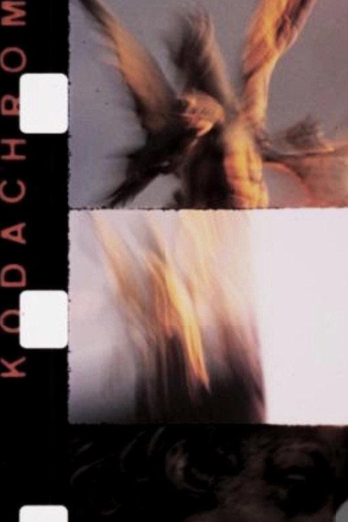 Novembre 1989 official movie poster