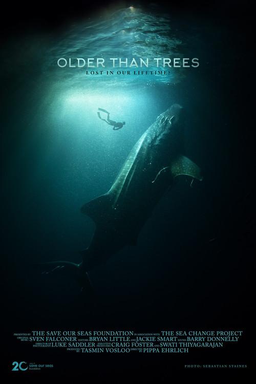 Older Than Trees 2023 official movie poster
