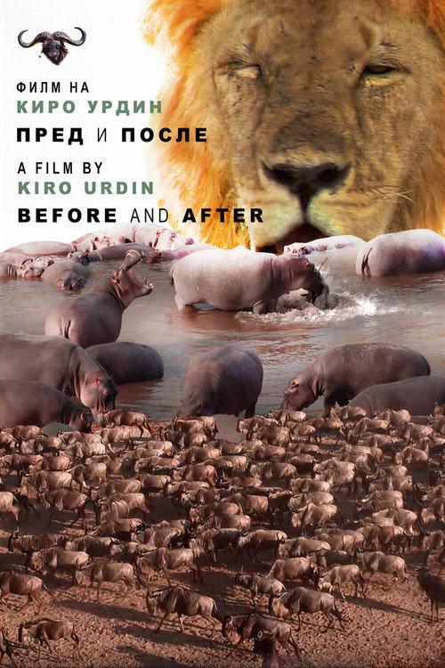 Before and After 2022 official movie poster