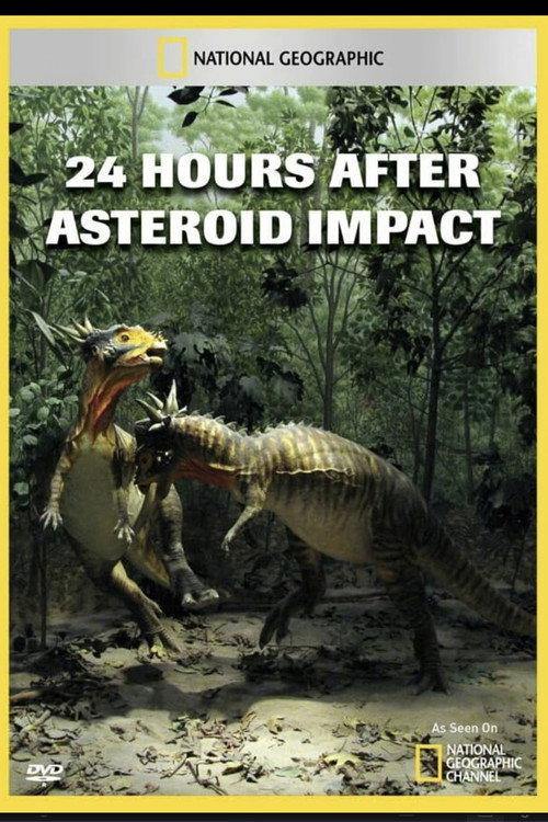 24 Hours After: Asteroid Impact 2009 official movie poster