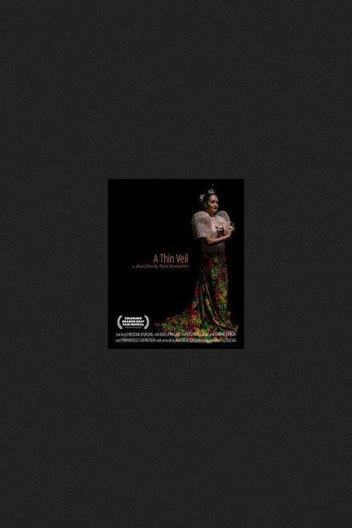A Thin Veil 2026 official movie poster