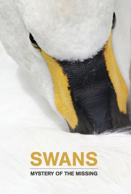 Swans: Mystery of the Missing 2019 official movie poster