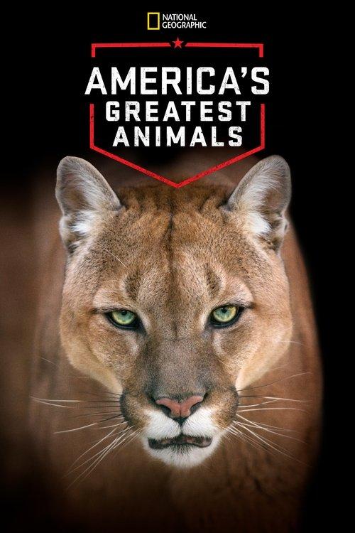 America's Greatest Animals 2012 official movie poster