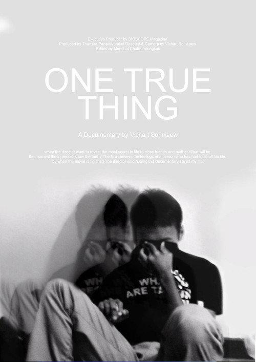 One True Thing 2007 official movie poster