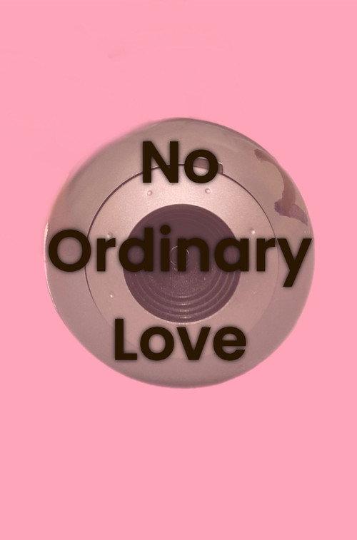 No Ordinary Love 2024 official movie poster