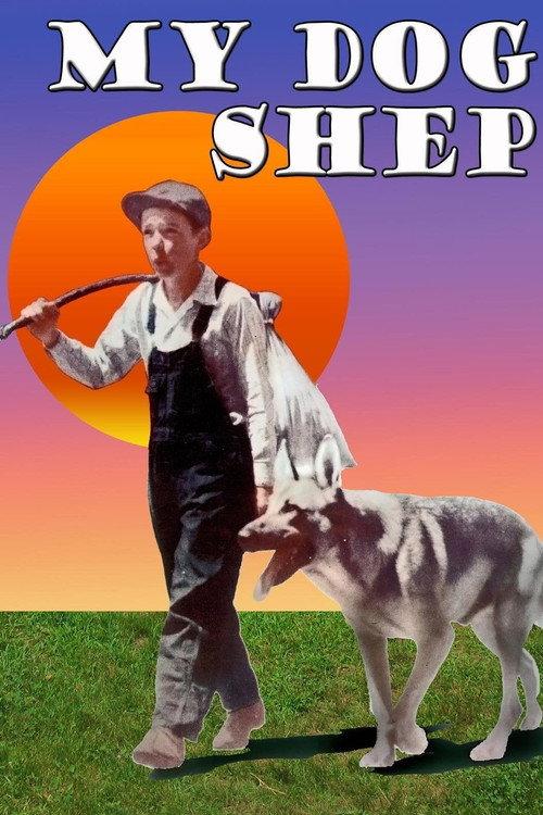 My Dog Shep 1946 official movie poster