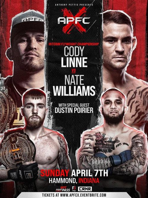 Anthony Pettis FC 10: Indiana Fight Night 3 2024 official movie poster