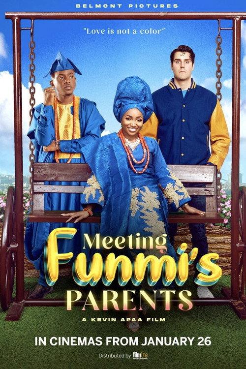 Meeting Funmi's Parents 2024 official movie poster