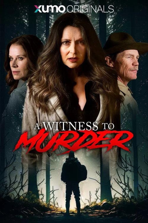 A Witness to Murder 2025 official movie poster