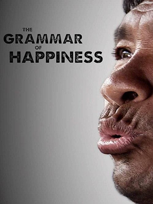 The Grammar of Happiness 2012 official movie poster