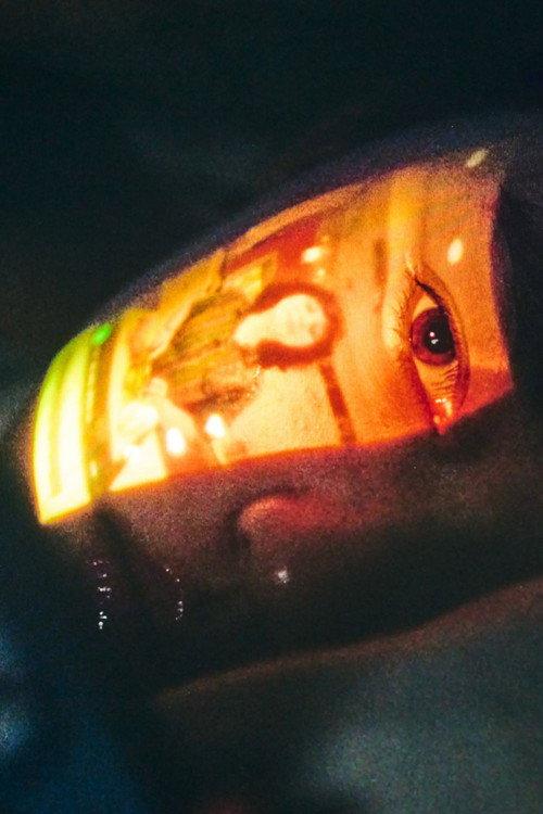 Mould 2026 official movie poster