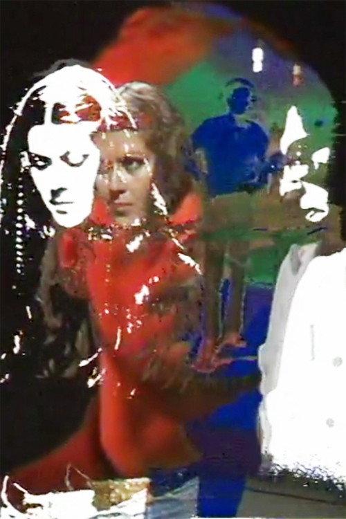 Videogram 4 1979 official movie poster