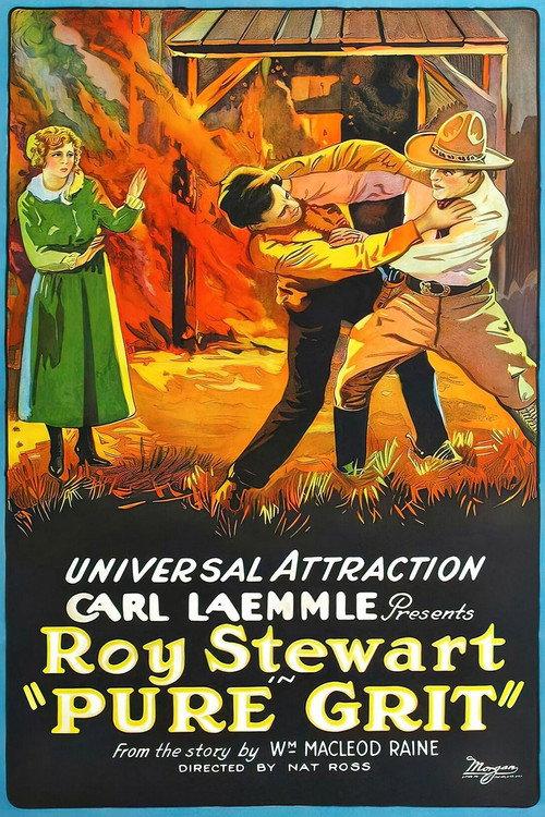 Pure Grit 1923 official movie poster