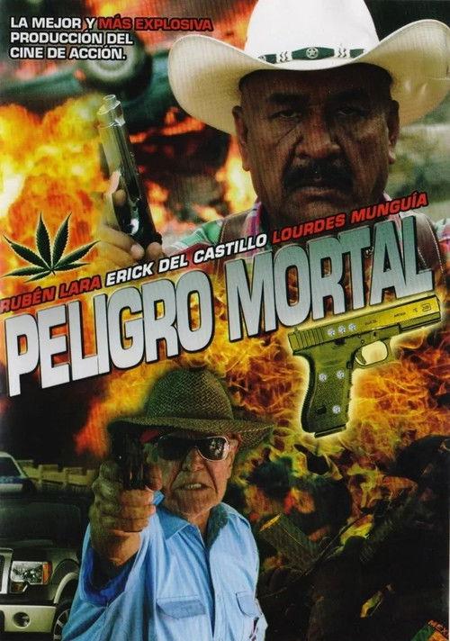 Mortal Danger 2012 official movie poster