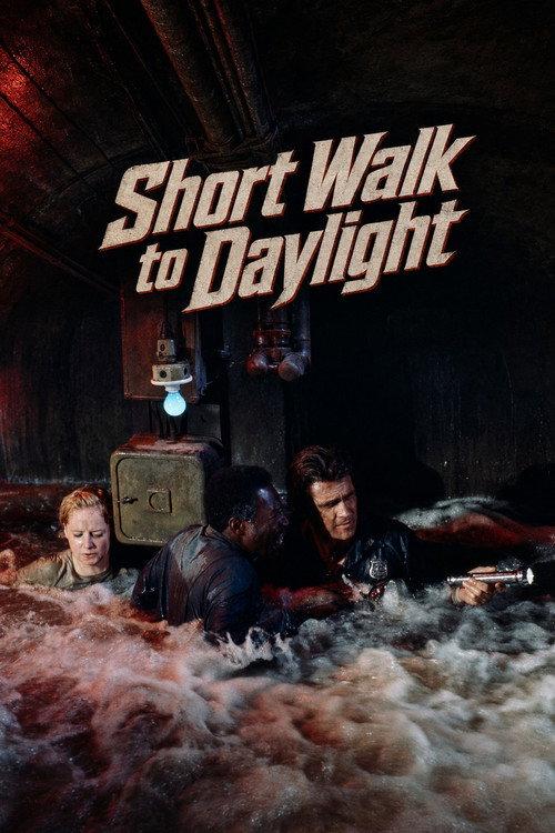 Short Walk to Daylight 1972 official movie poster